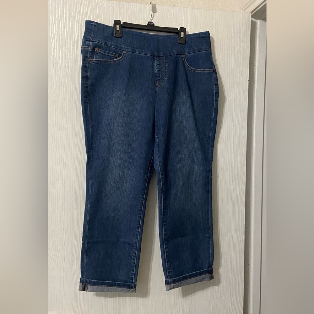 JAG jeans Size 14 EUC NEVER WORE High Rise Slim Ankle